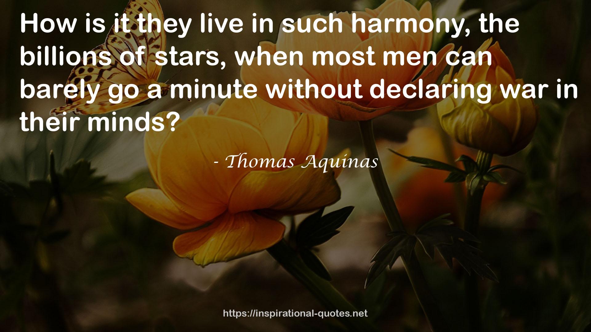 Thomas Aquinas QUOTES