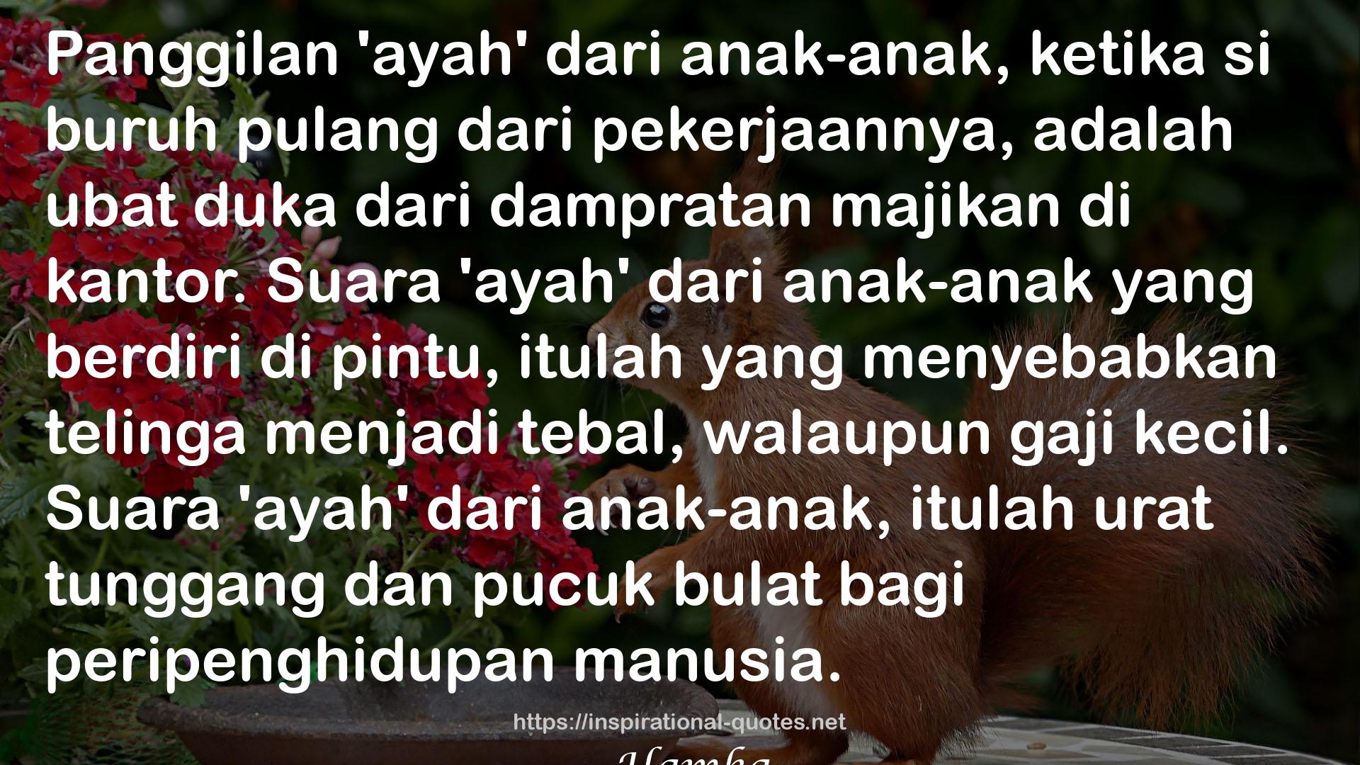 Cermin Penghidupan QUOTES