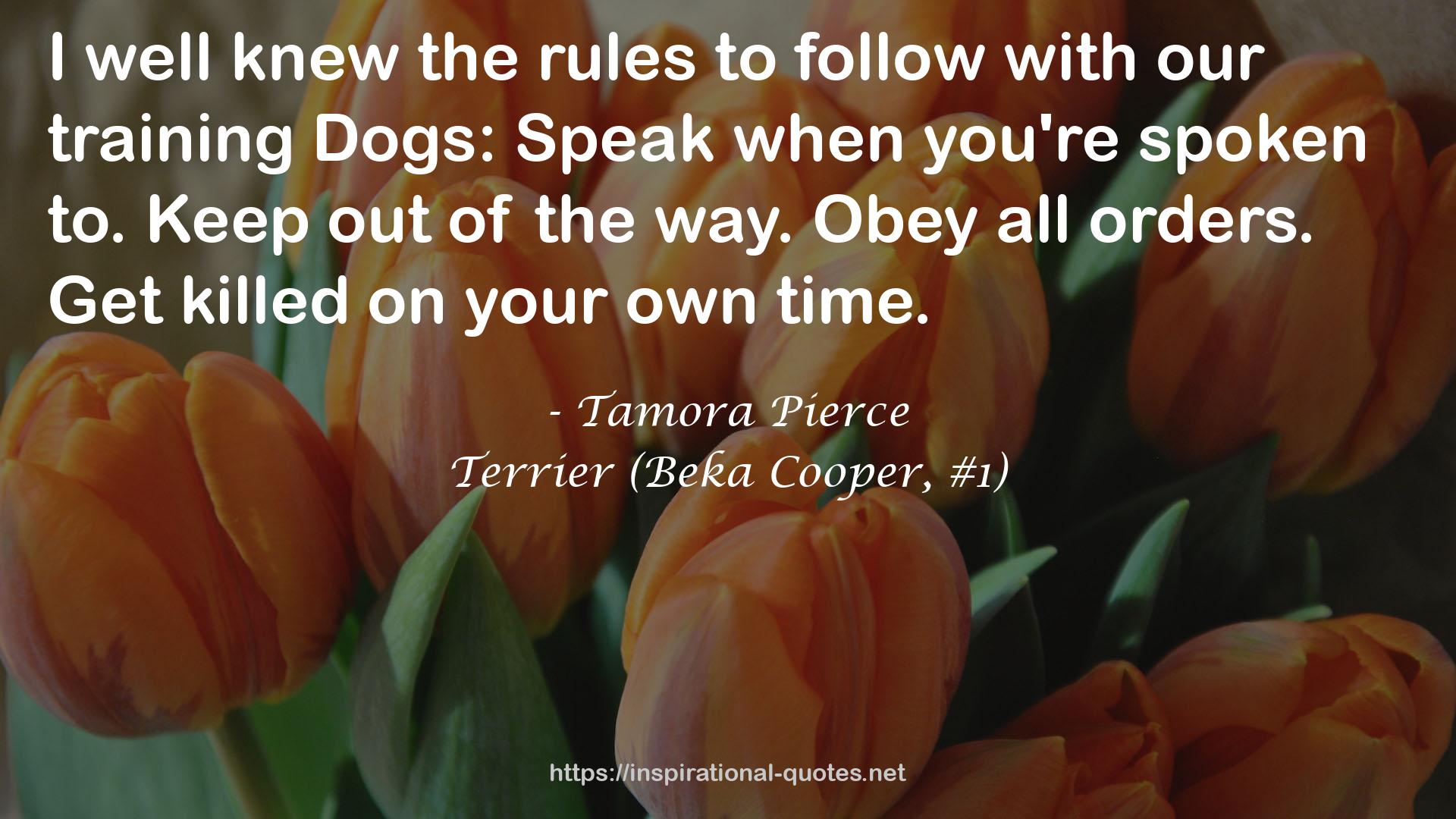 Terrier (Beka Cooper, #1) QUOTES