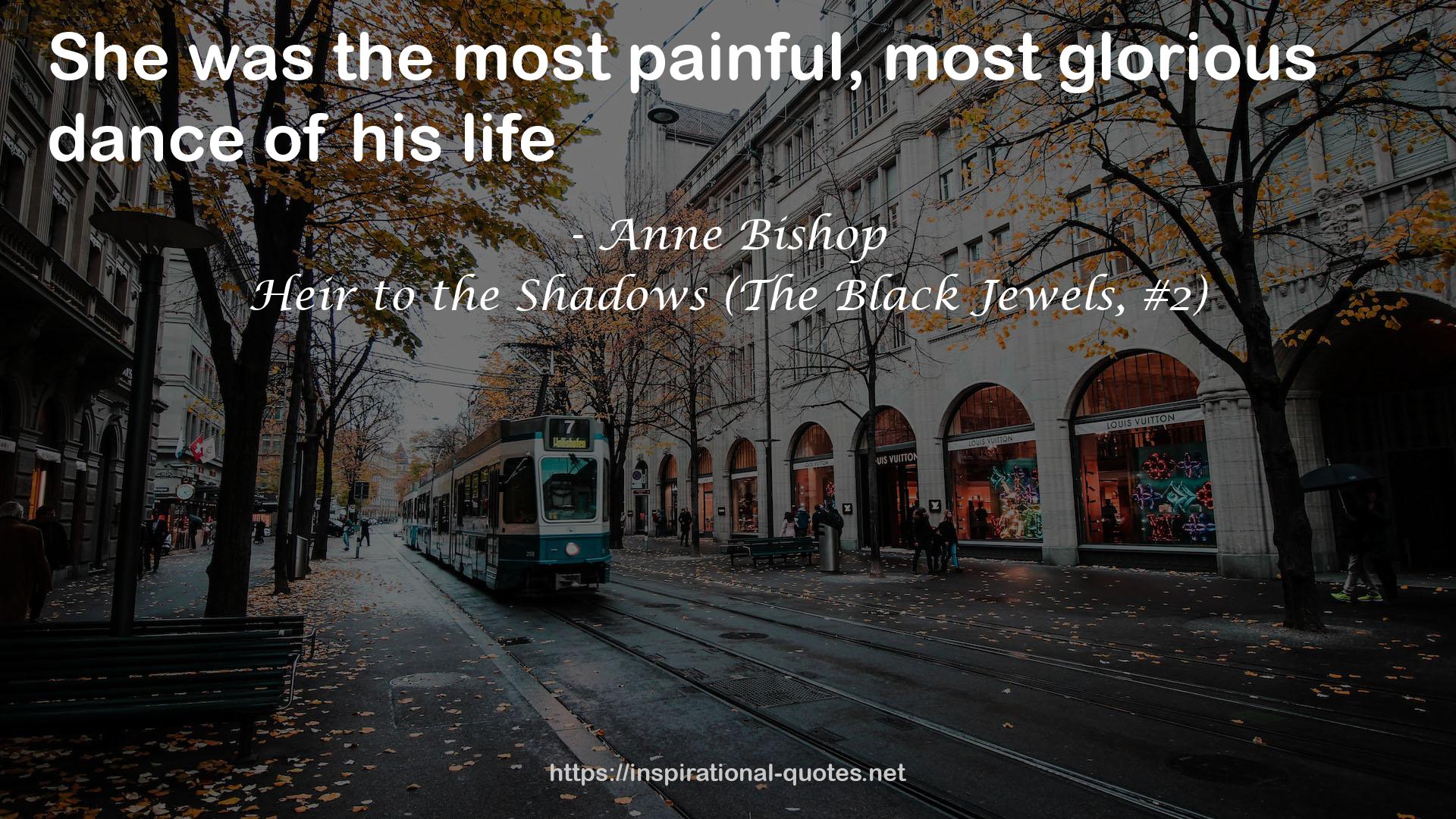 Heir to the Shadows (The Black Jewels, #2) QUOTES