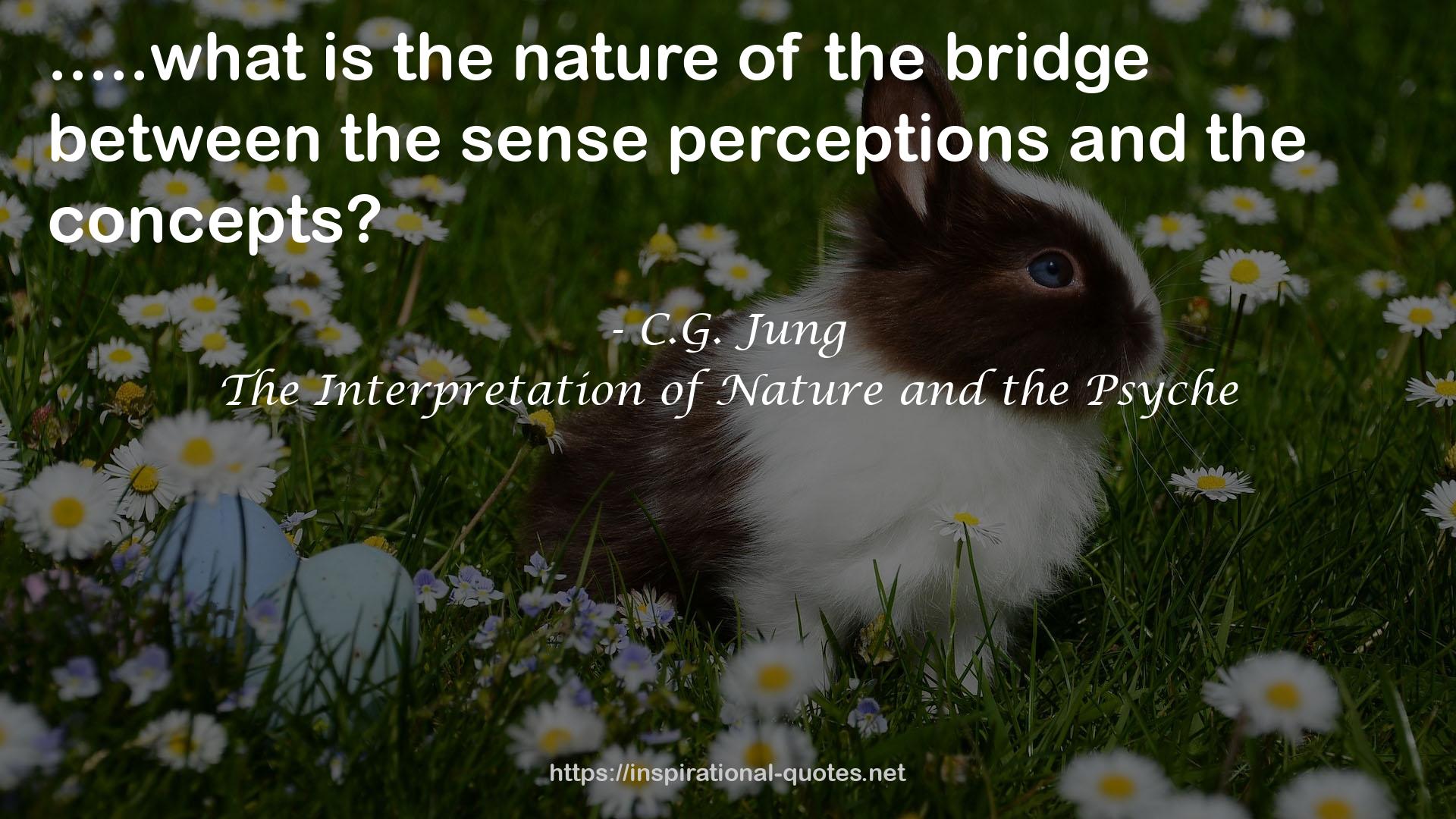 The Interpretation of Nature and the Psyche QUOTES