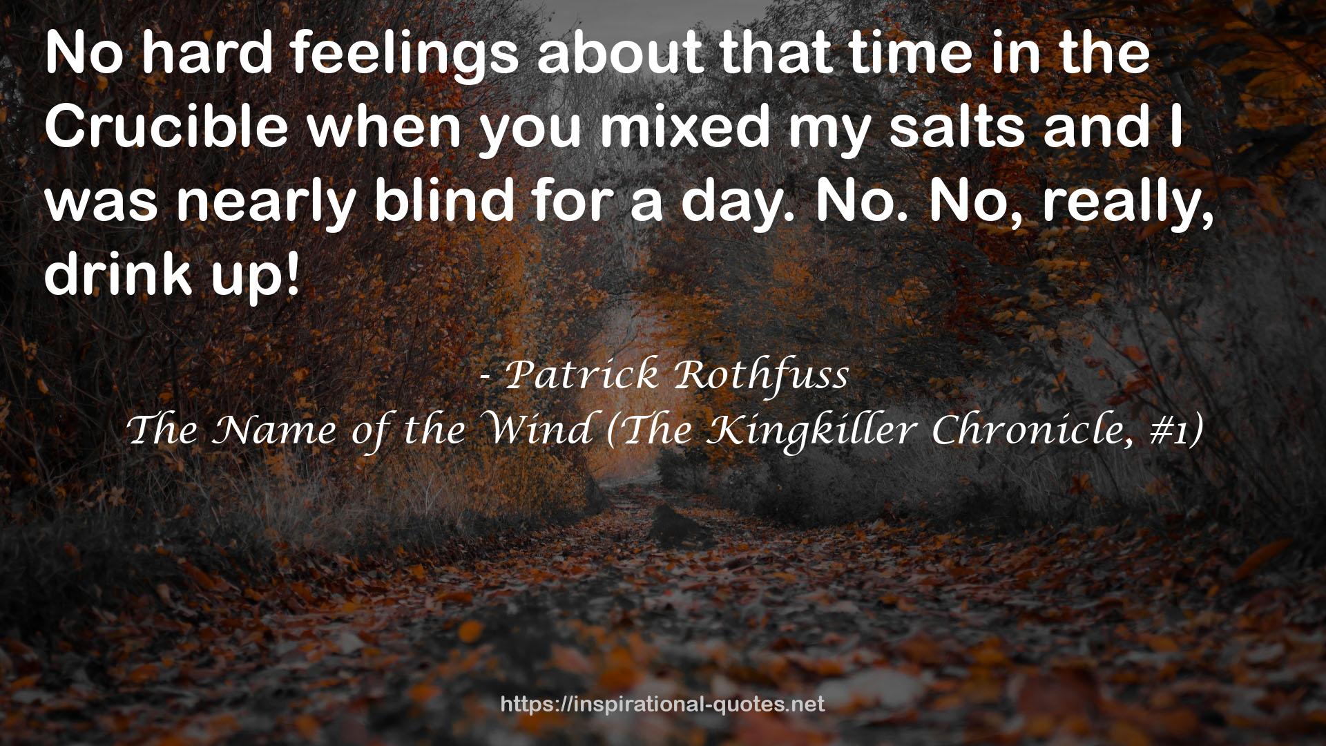 The Name of the Wind (The Kingkiller Chronicle, #1) QUOTES