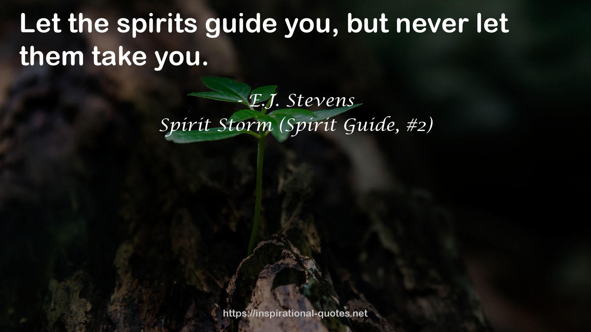 Spirit Storm (Spirit Guide, #2) QUOTES