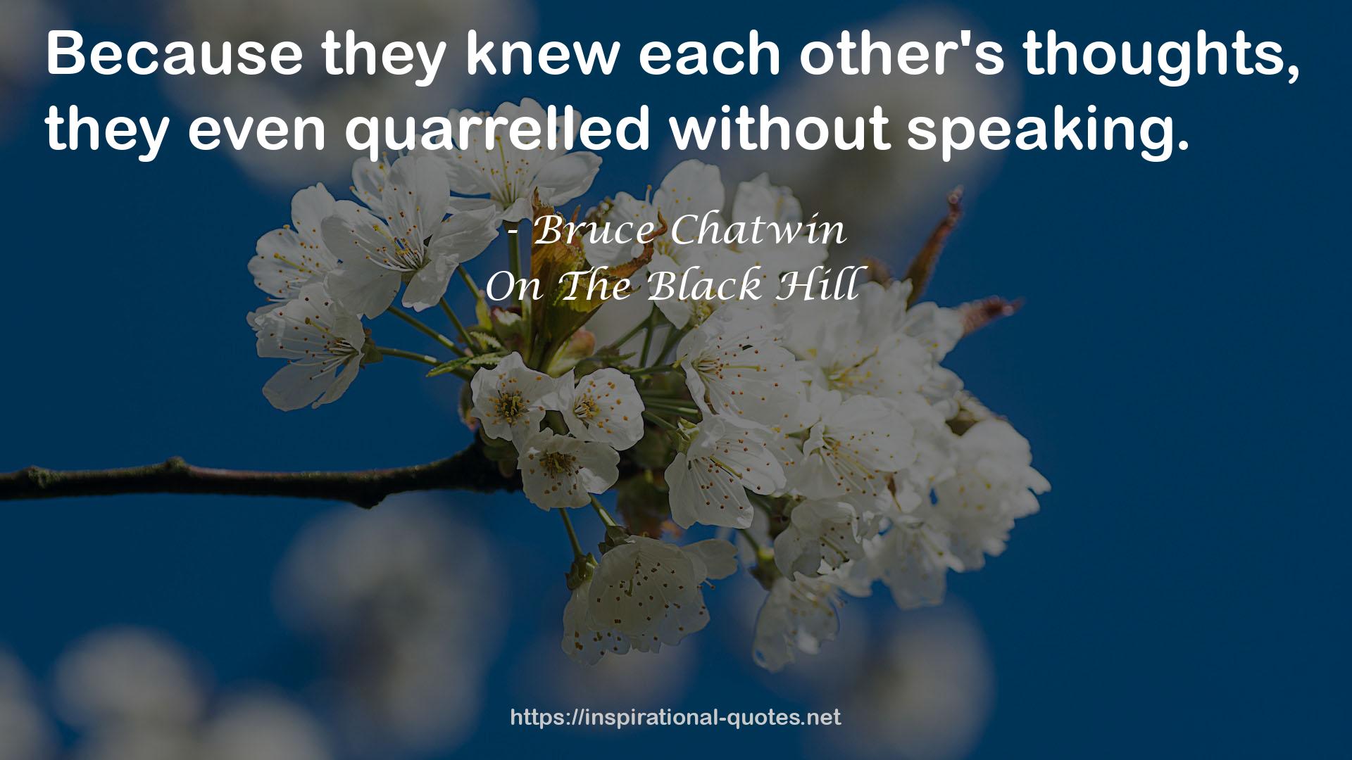 On The Black Hill QUOTES