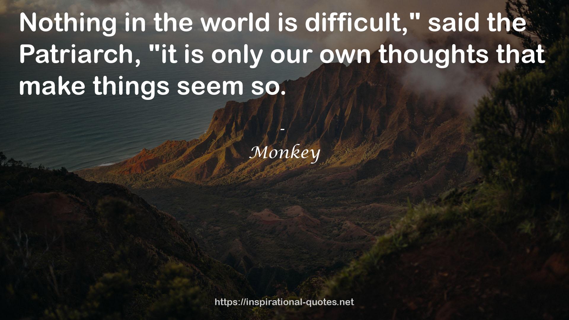 Monkey QUOTES