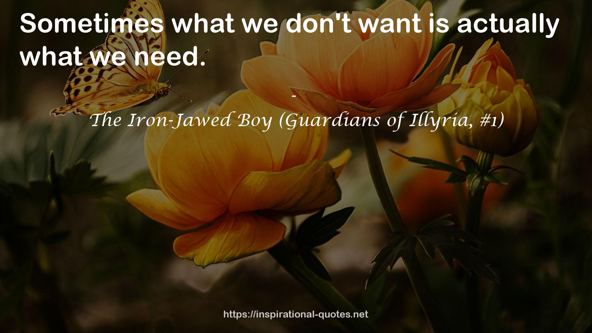 The Iron-Jawed Boy (Guardians of Illyria, #1) QUOTES