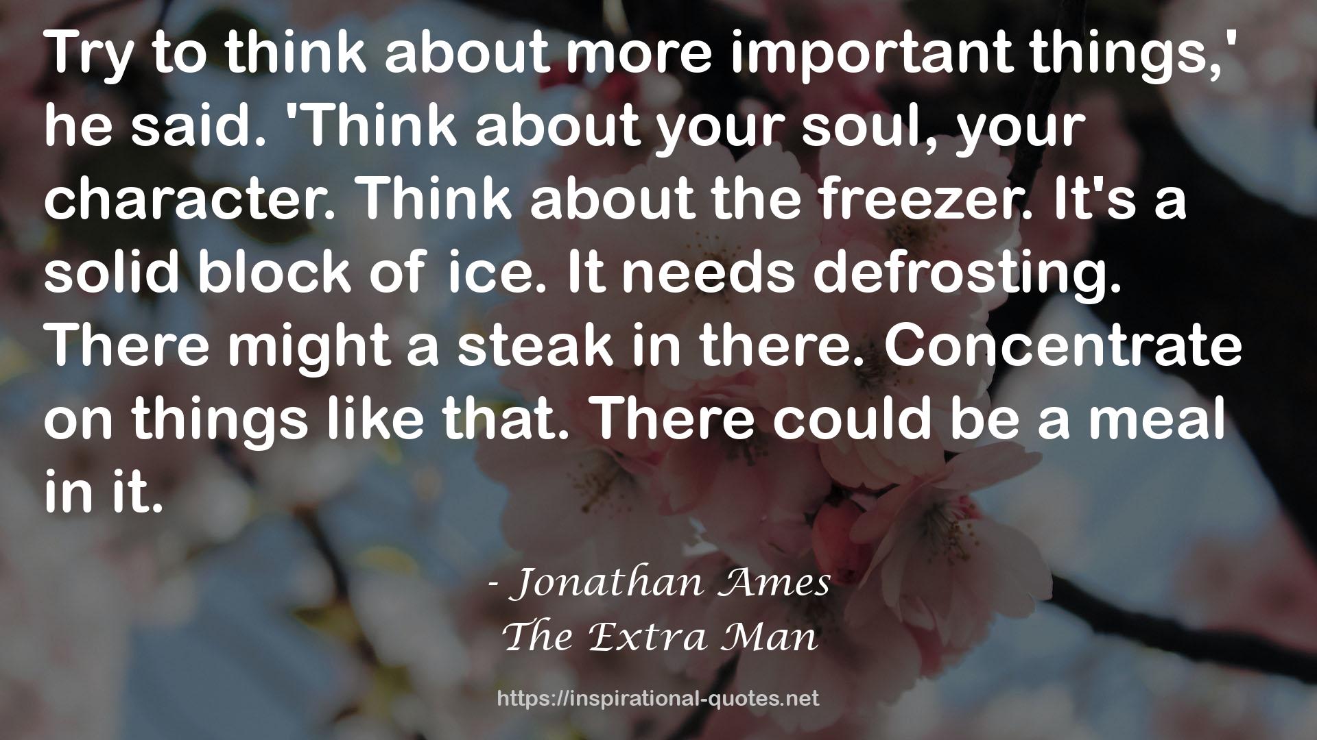 Jonathan Ames QUOTES