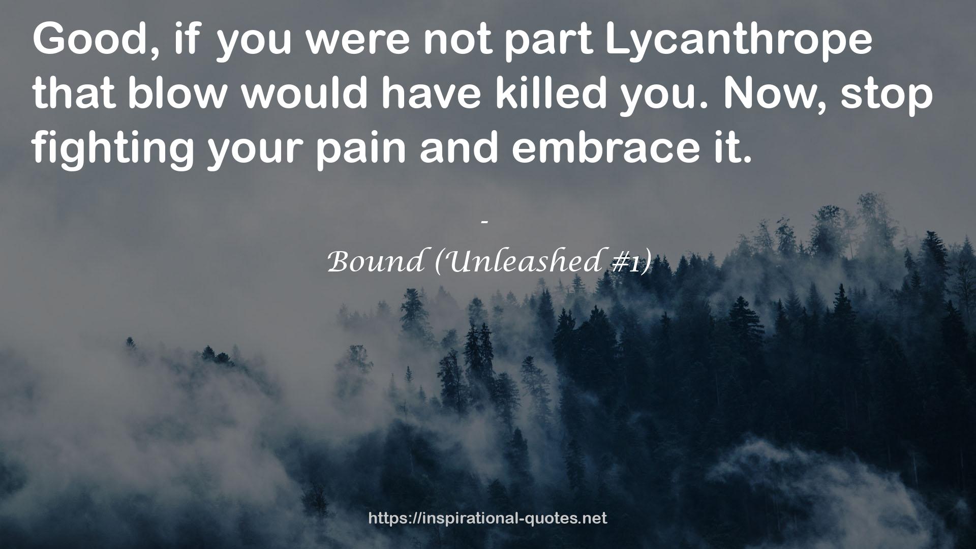Bound (Unleashed #1) QUOTES
