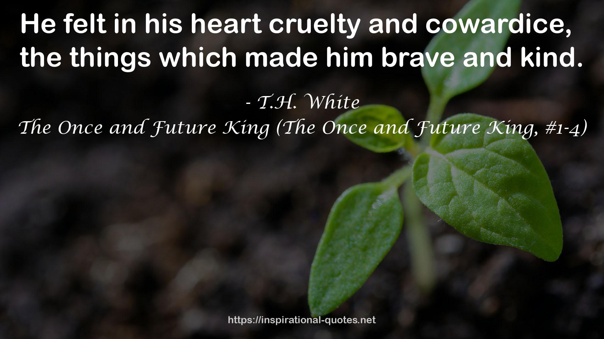 his heart cruelty  QUOTES