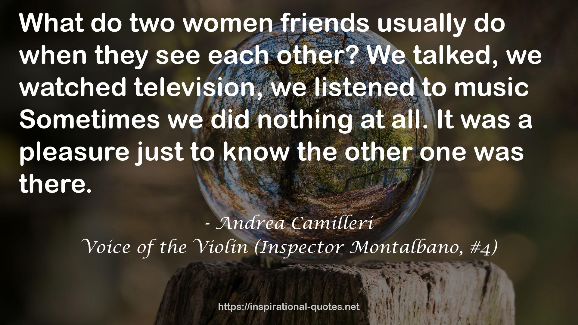 Voice of the Violin (Inspector Montalbano, #4) QUOTES