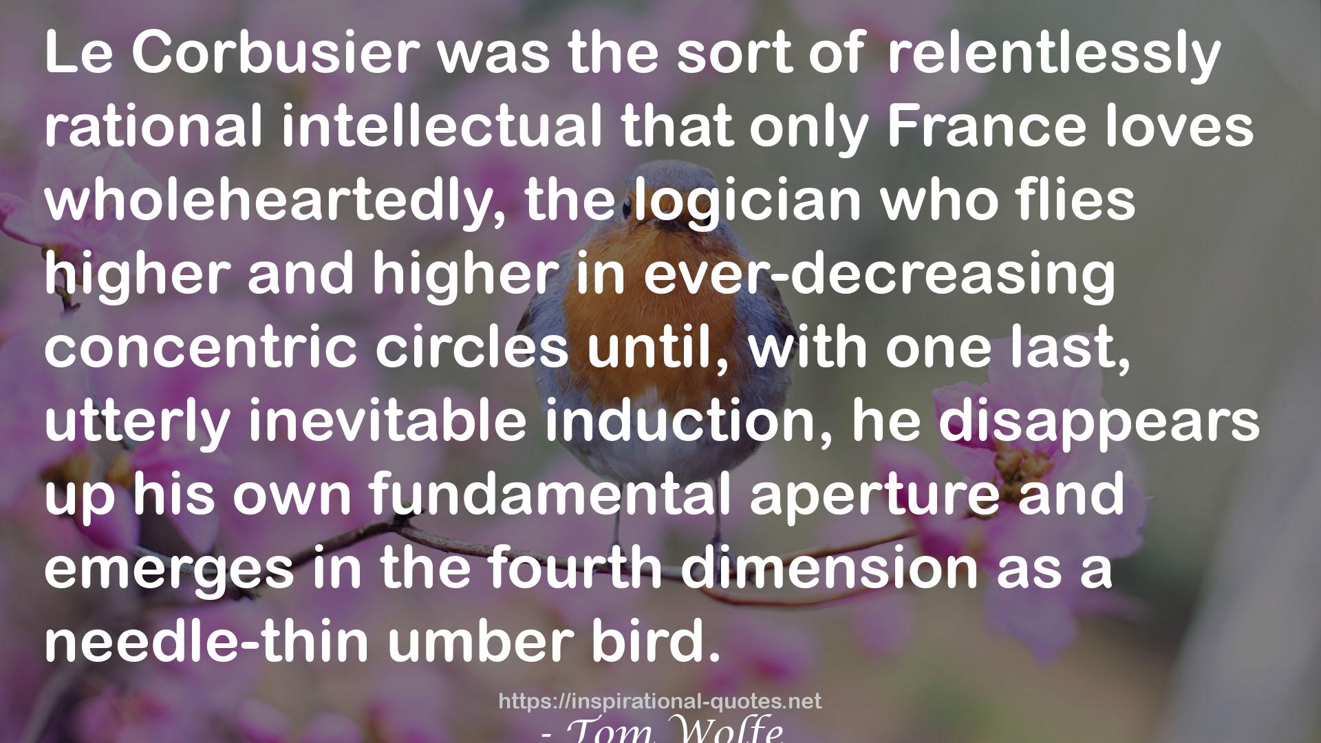 Corbusier  QUOTES