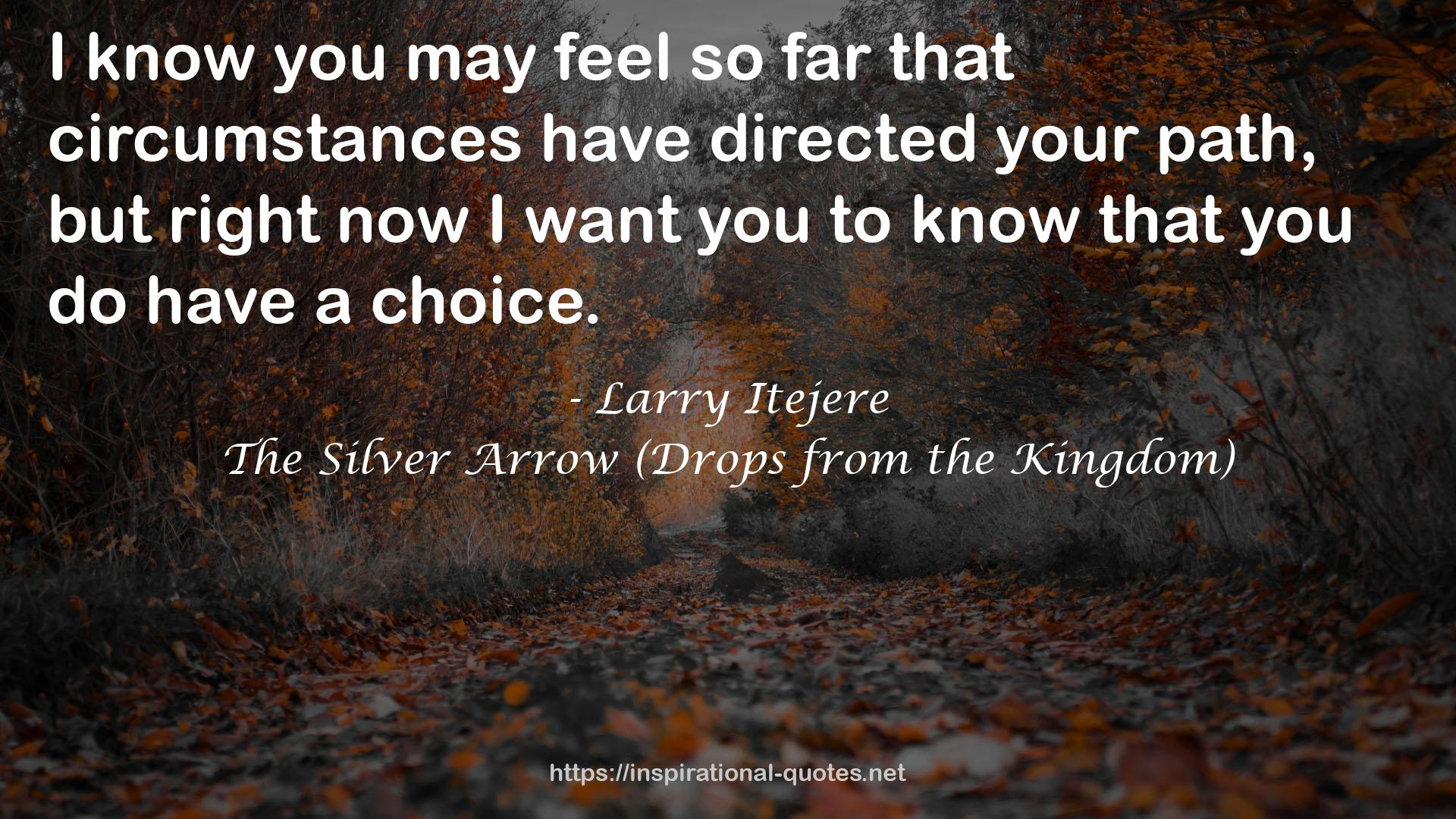 The Silver Arrow (Drops from the Kingdom) QUOTES