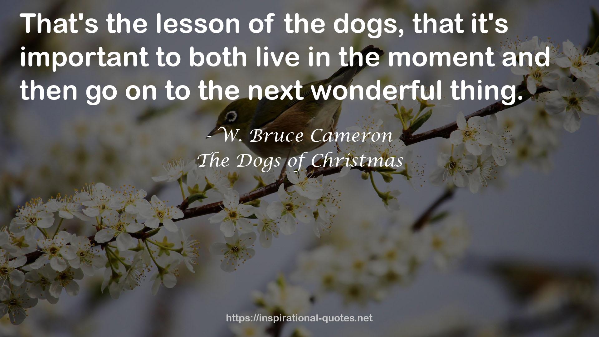 The Dogs of Christmas QUOTES
