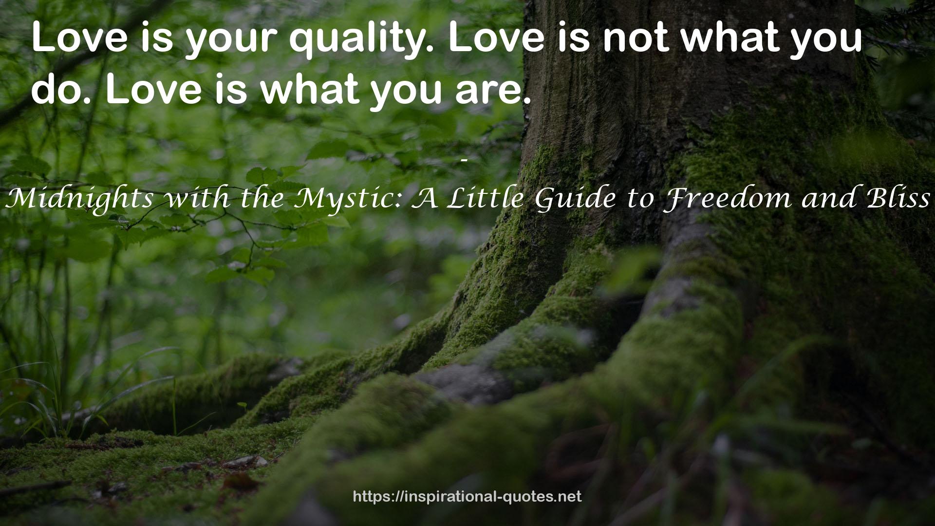Midnights with the Mystic: A Little Guide to Freedom and Bliss QUOTES