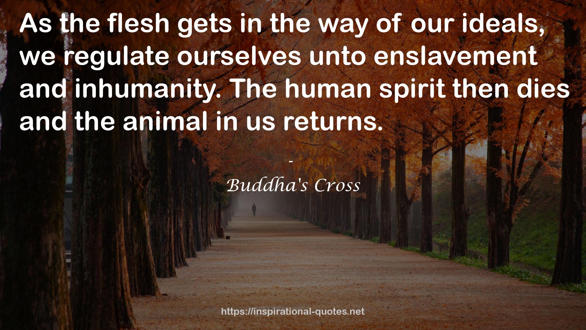 Buddha's Cross QUOTES