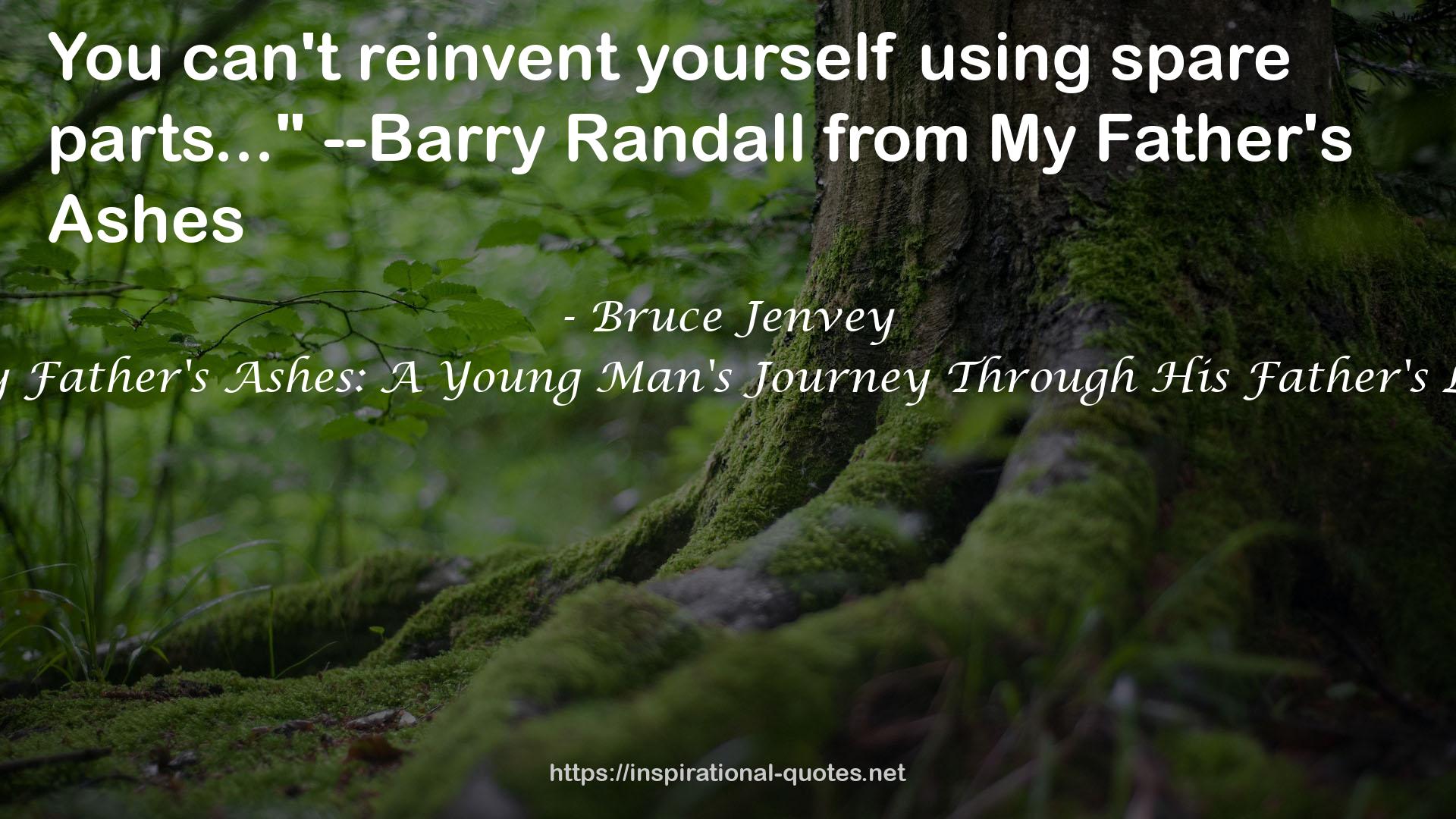 My Father's Ashes: A Young Man's Journey Through His Father's Life QUOTES