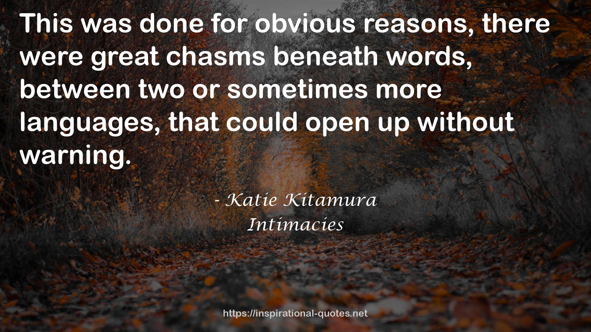 Katie Kitamura QUOTES