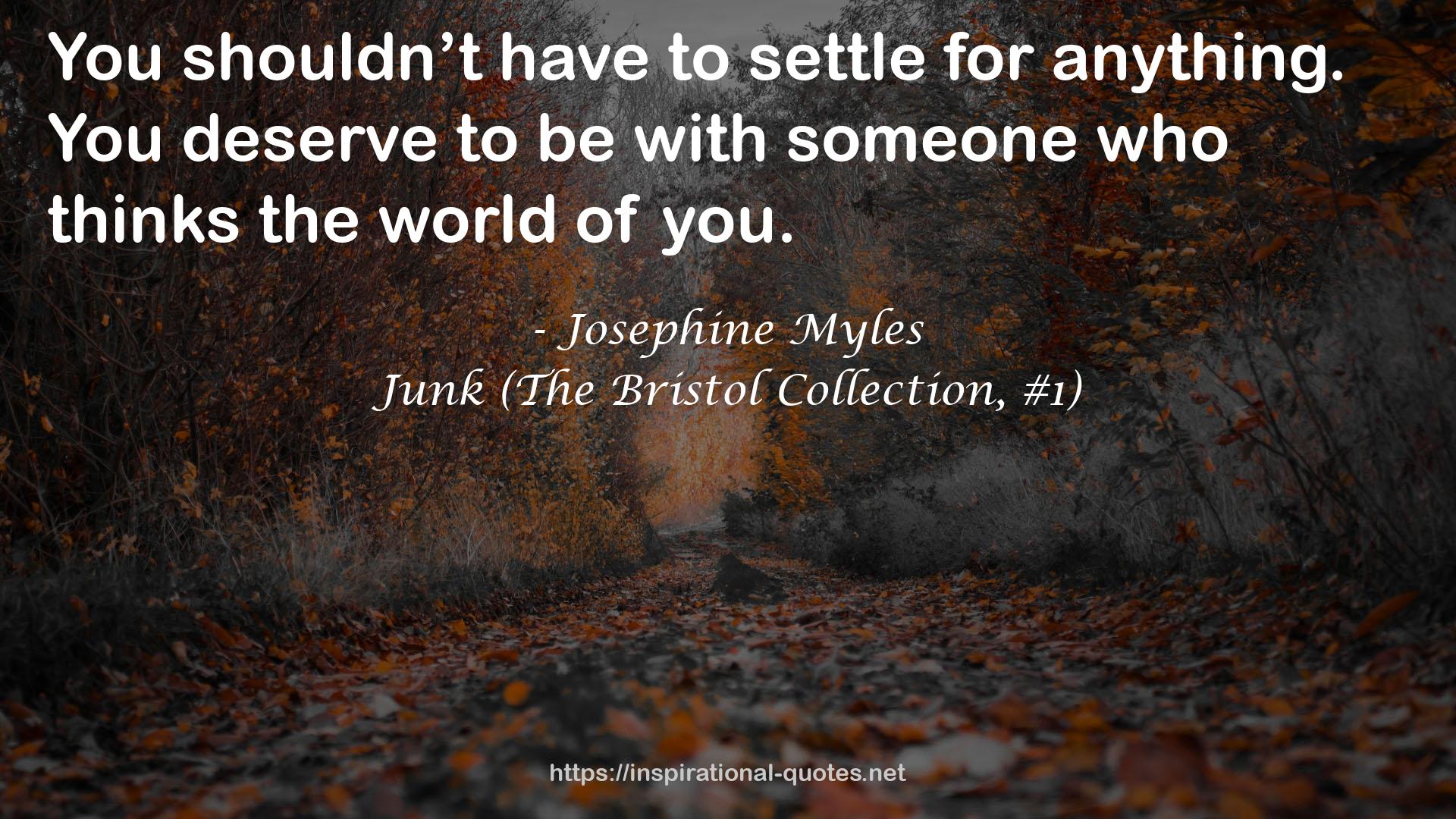Junk (The Bristol Collection, #1) QUOTES