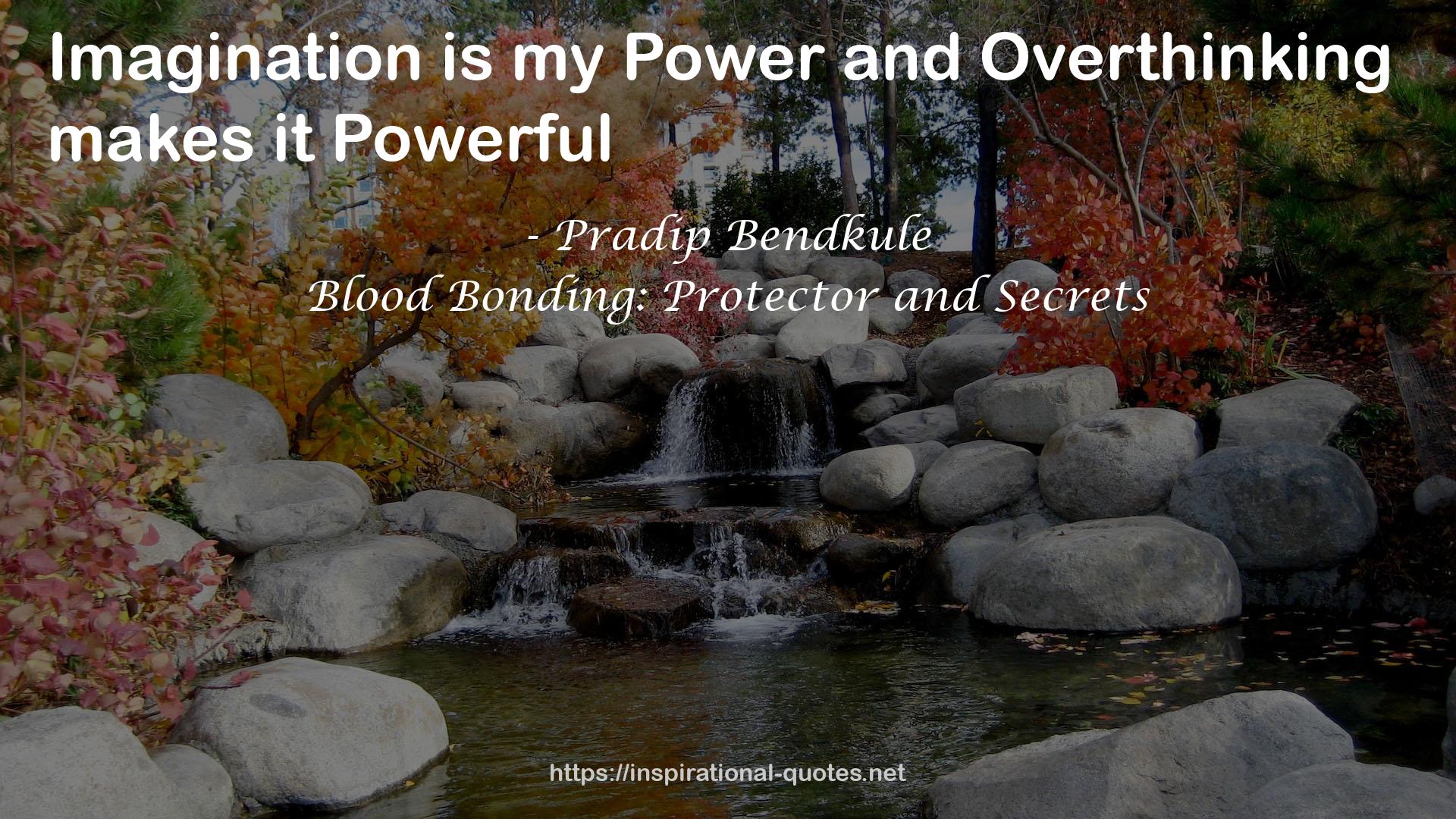 Blood Bonding: Protector and Secrets QUOTES