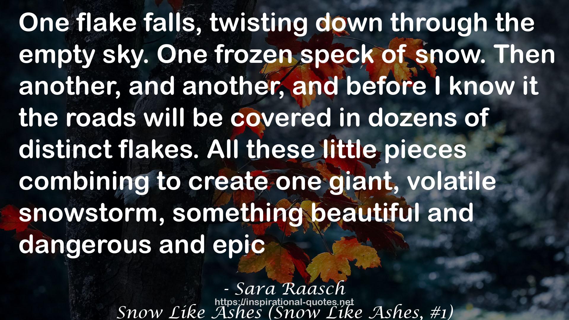 Sara Raasch QUOTES