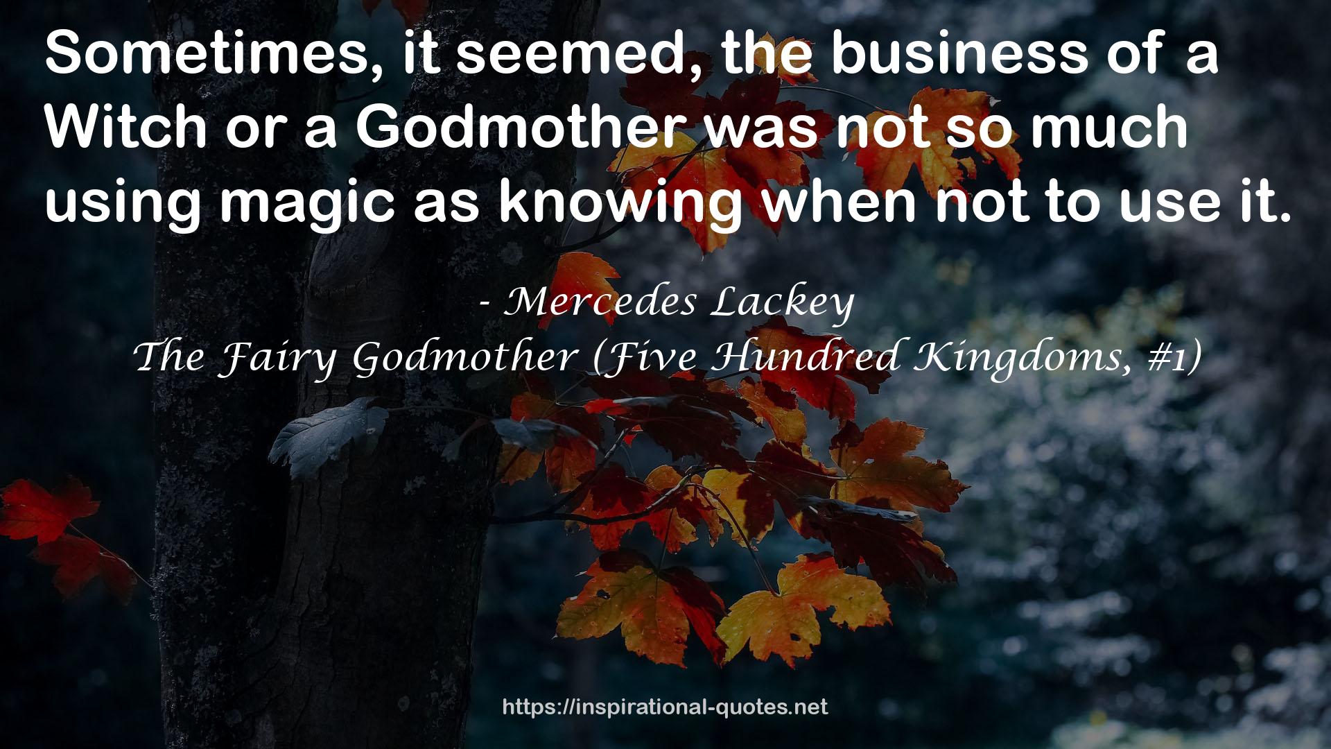 The Fairy Godmother (Five Hundred Kingdoms, #1) QUOTES