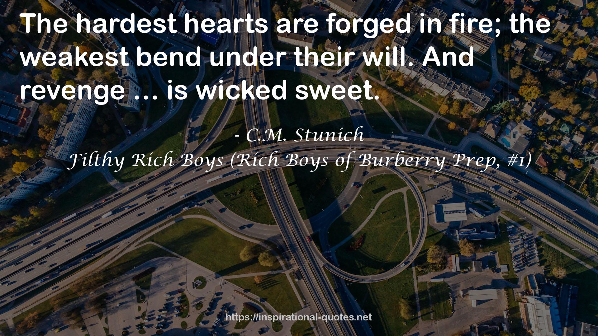 Filthy Rich Boys (Rich Boys of Burberry Prep, #1) QUOTES