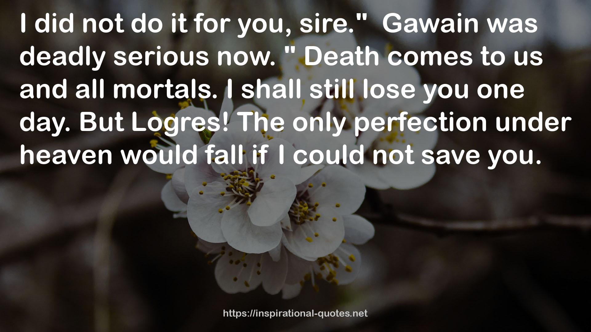 Gawain  QUOTES