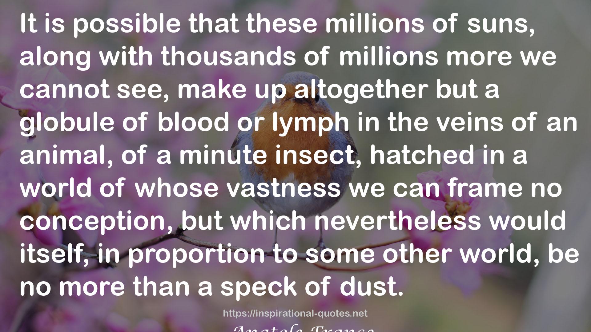 lymph  QUOTES