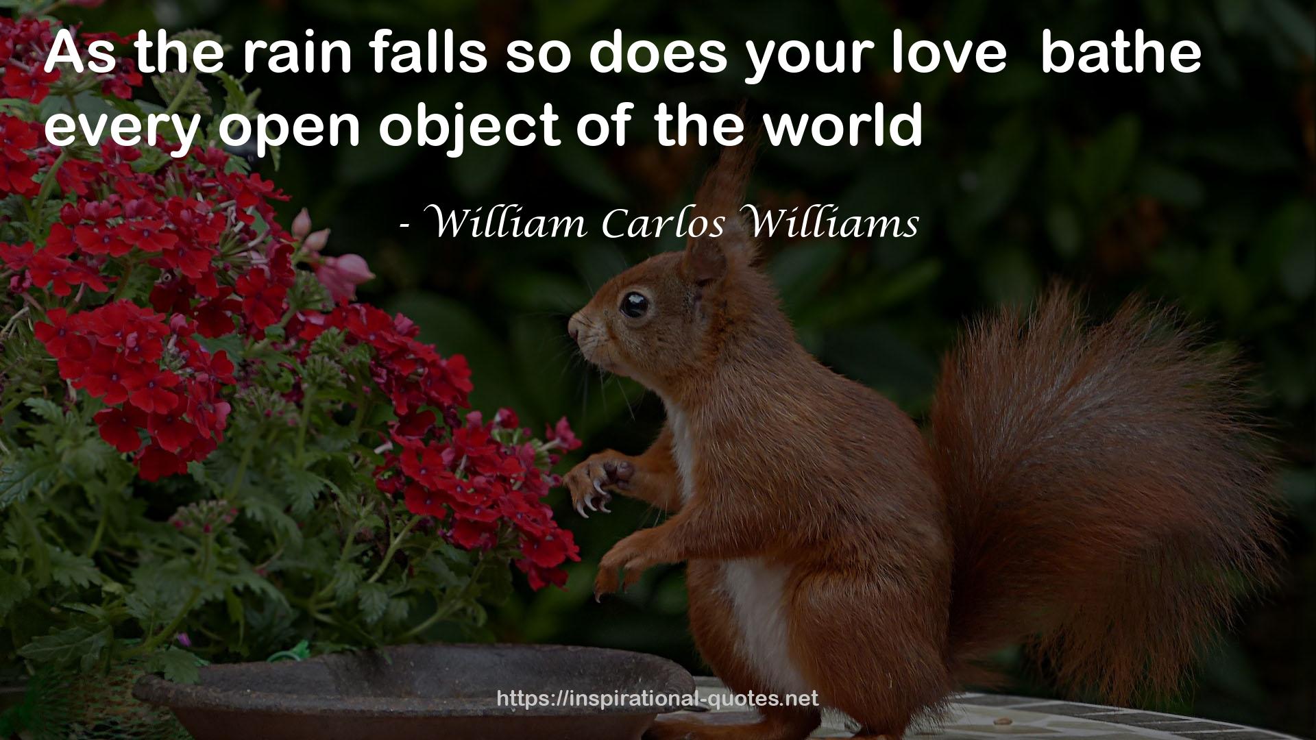 William Carlos Williams QUOTES