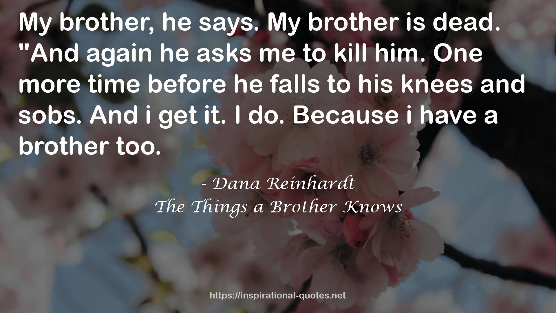 The Things a Brother Knows QUOTES