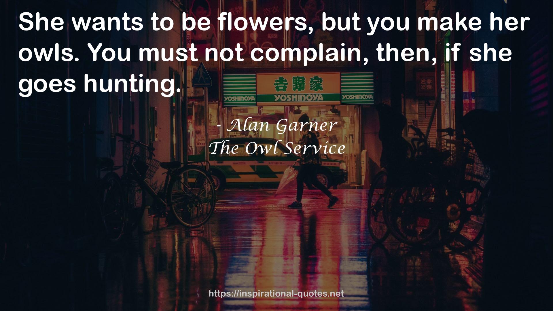 The Owl Service QUOTES