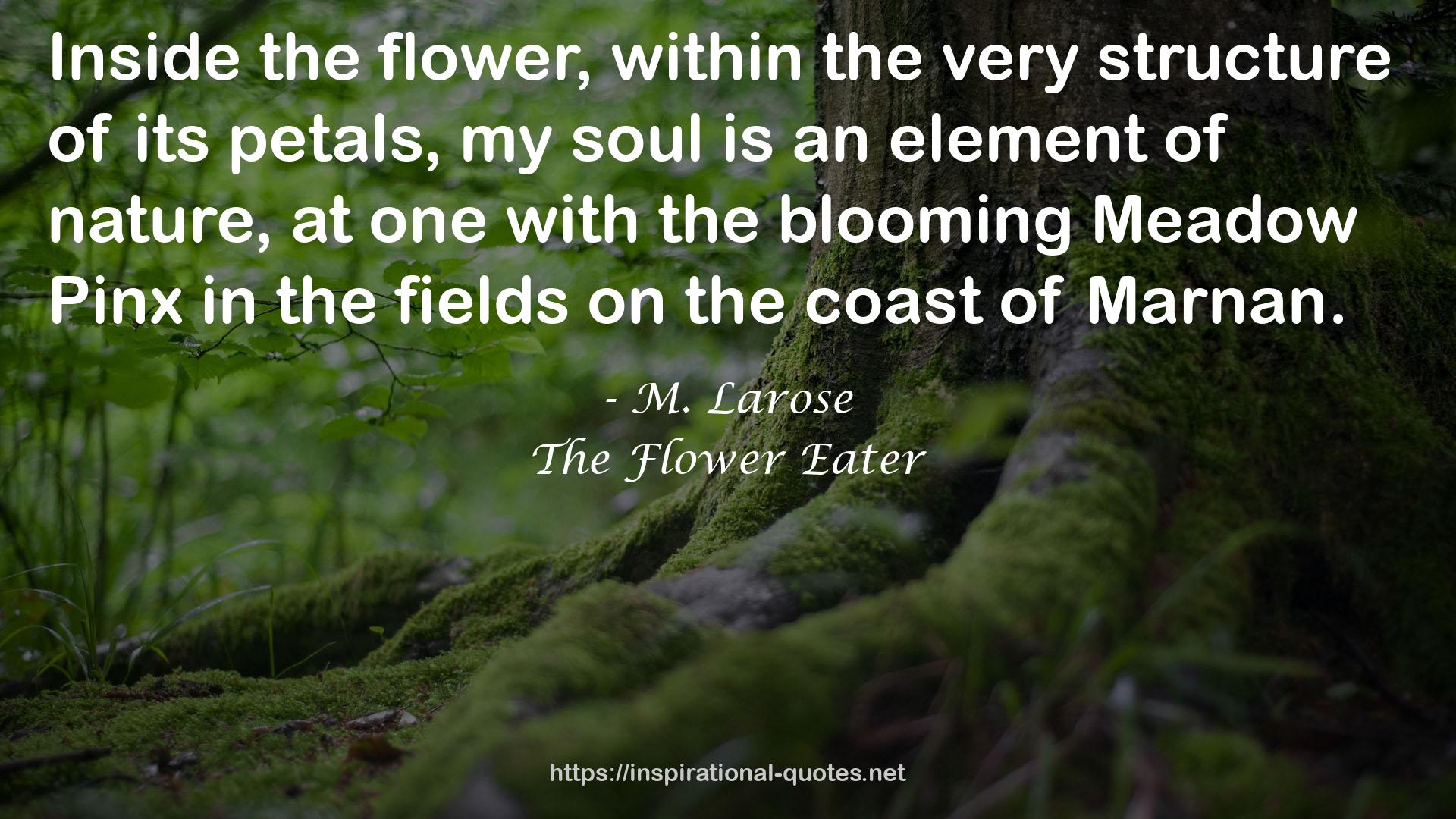 The Flower Eater QUOTES