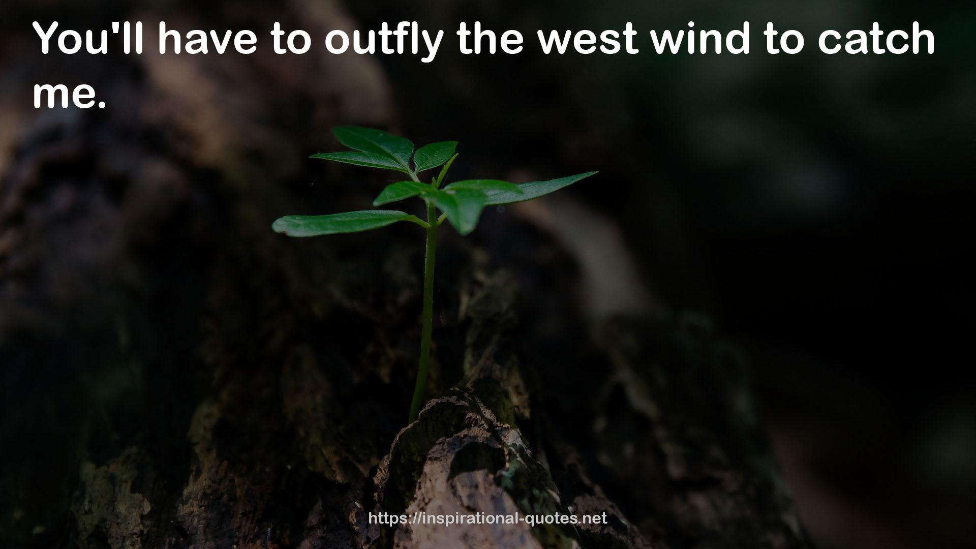 the west wind  QUOTES