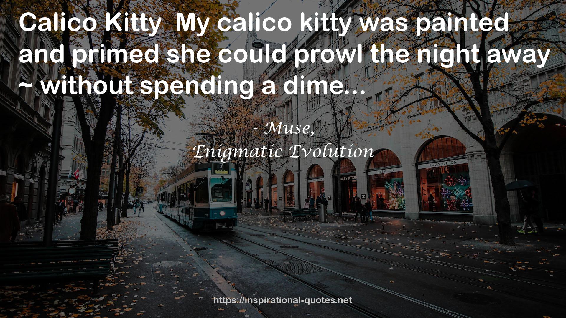 KittyMy  QUOTES