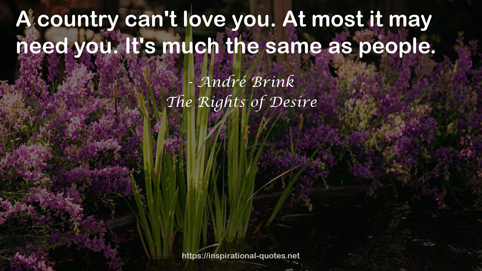 The Rights of Desire QUOTES