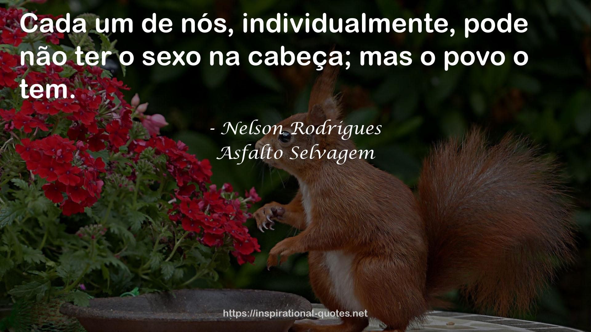 Asfalto Selvagem QUOTES