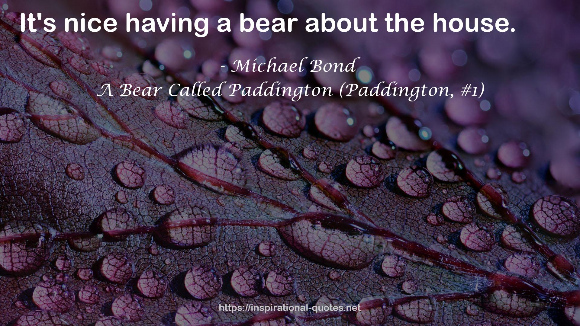 A Bear Called Paddington (Paddington, #1) QUOTES