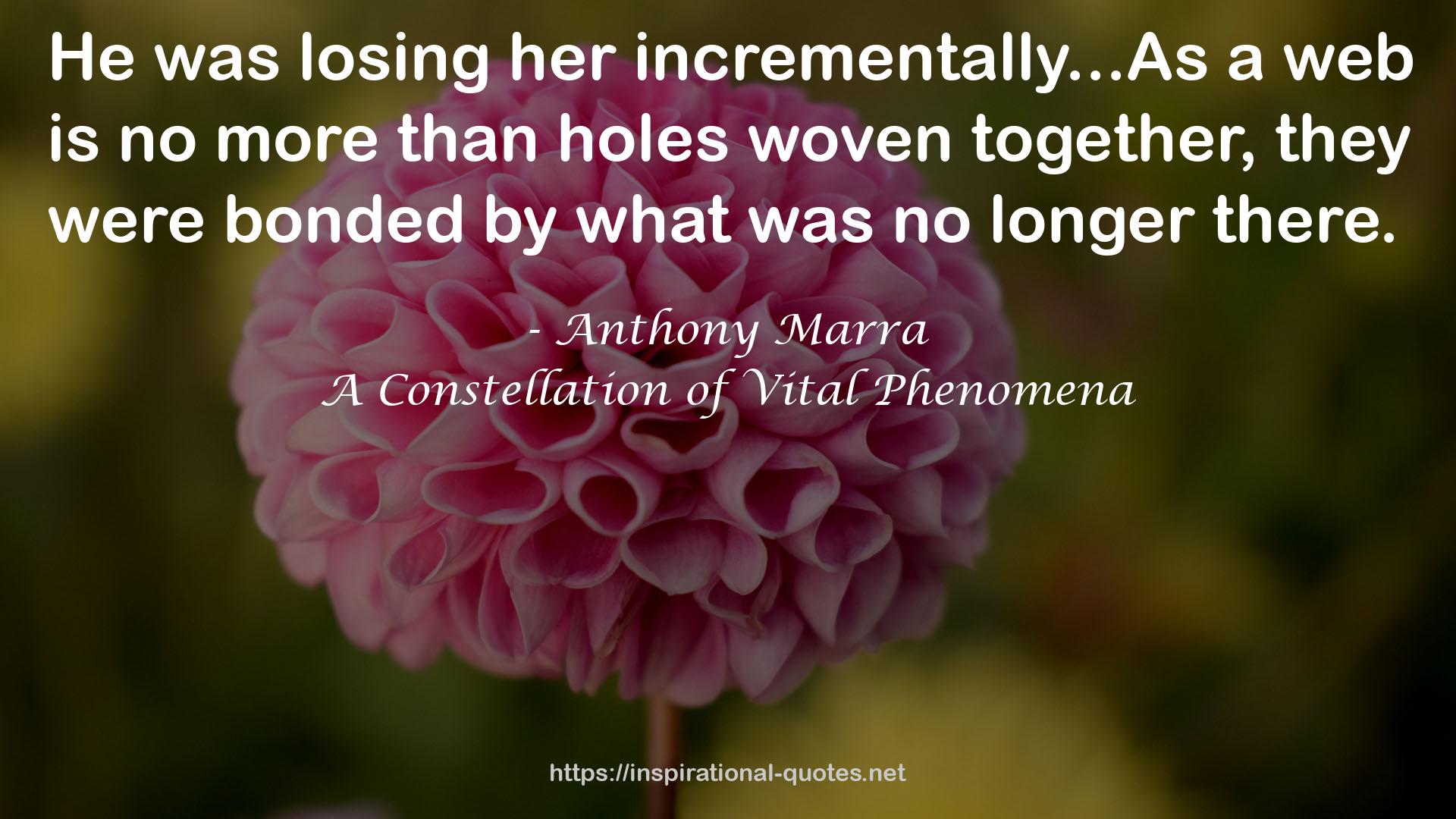 Anthony Marra QUOTES