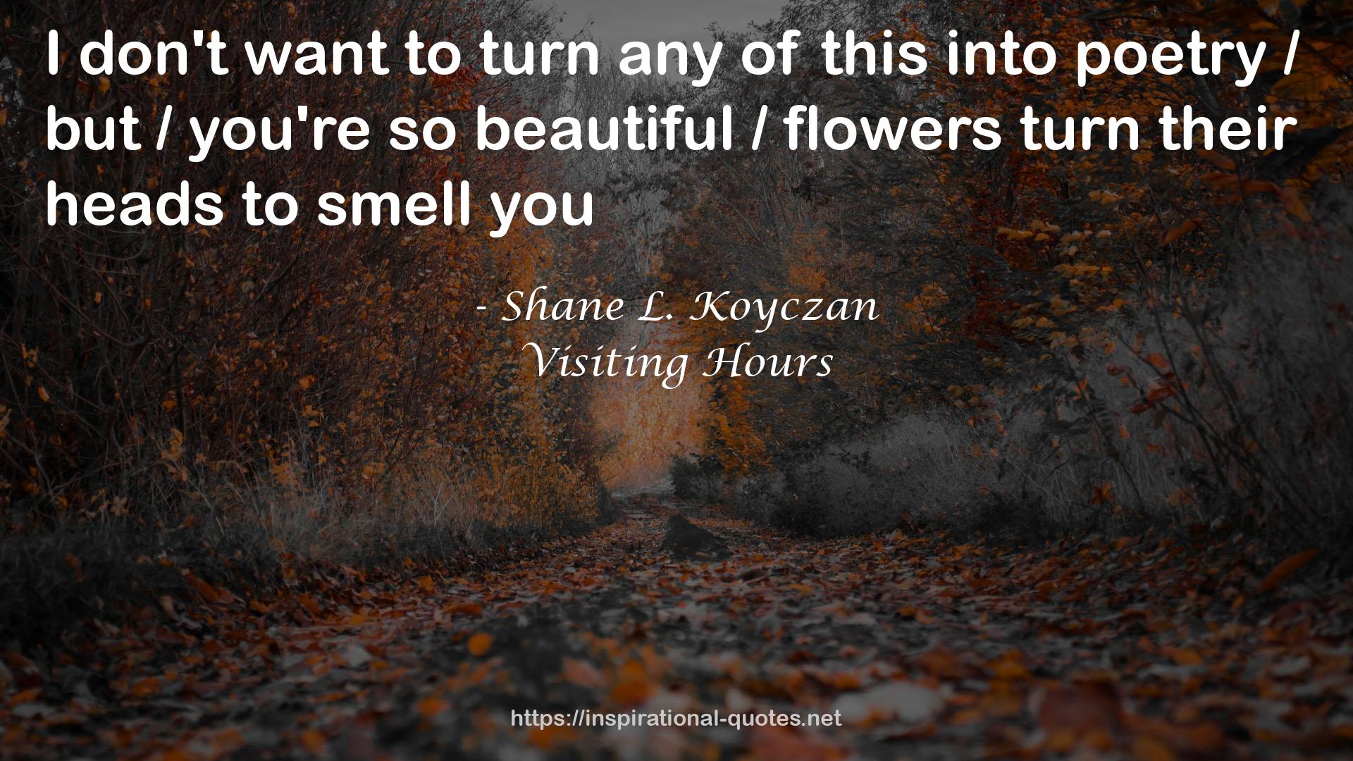 Visiting Hours QUOTES