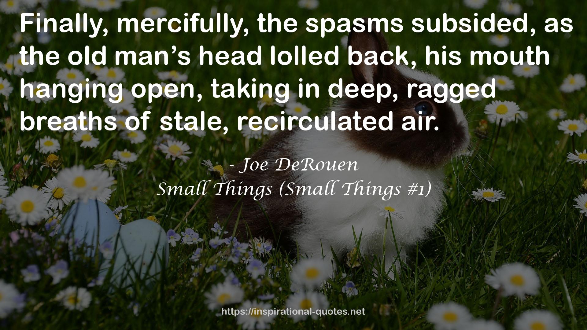 Small Things (Small Things #1) QUOTES