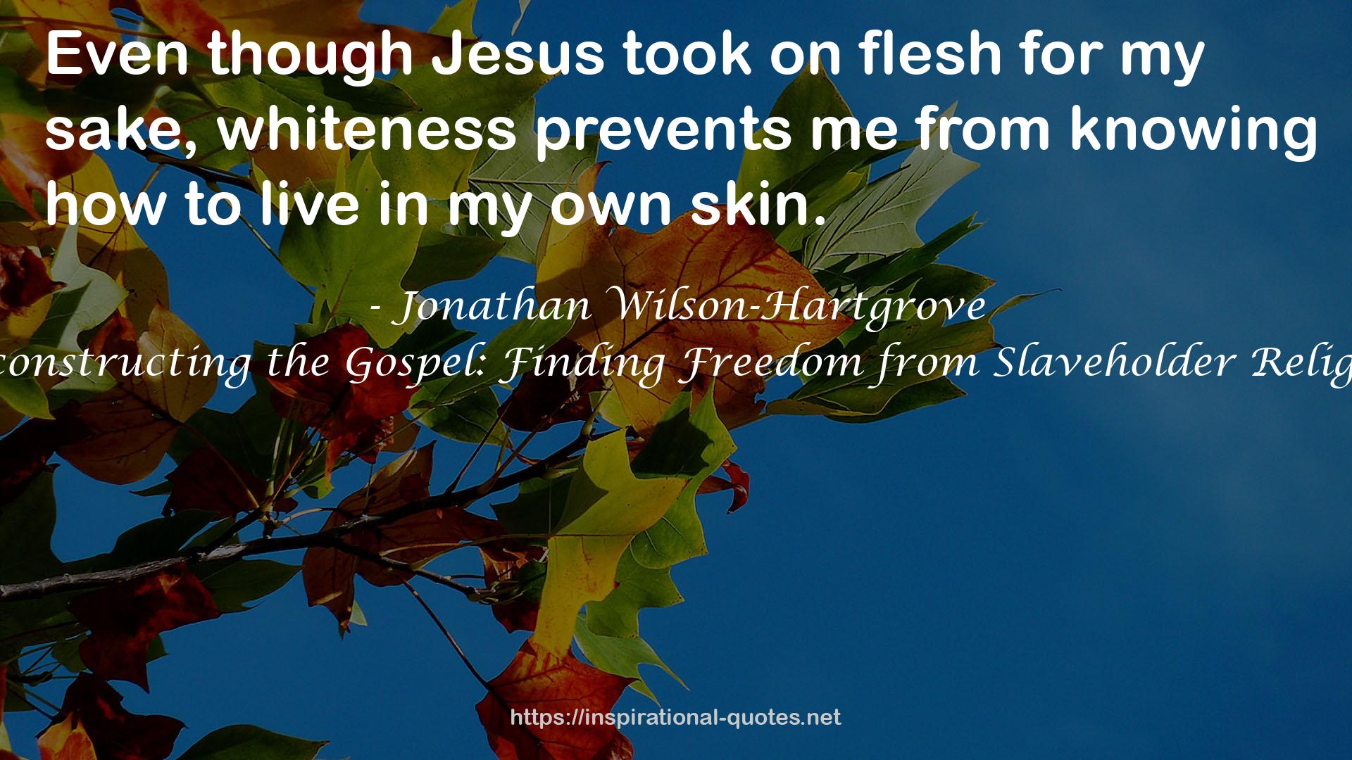 Reconstructing the Gospel: Finding Freedom from Slaveholder Religion QUOTES
