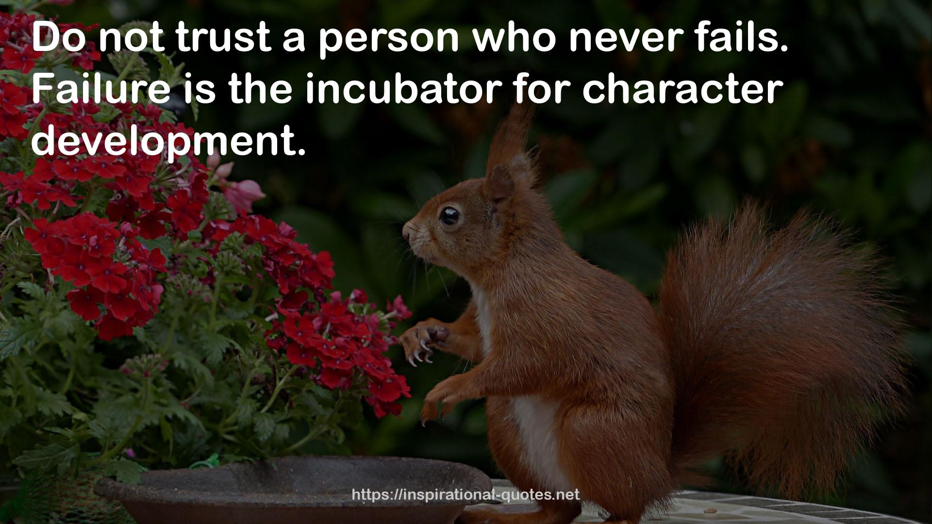 the incubator  QUOTES