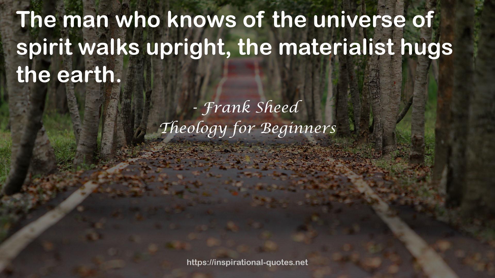 Theology for Beginners QUOTES
