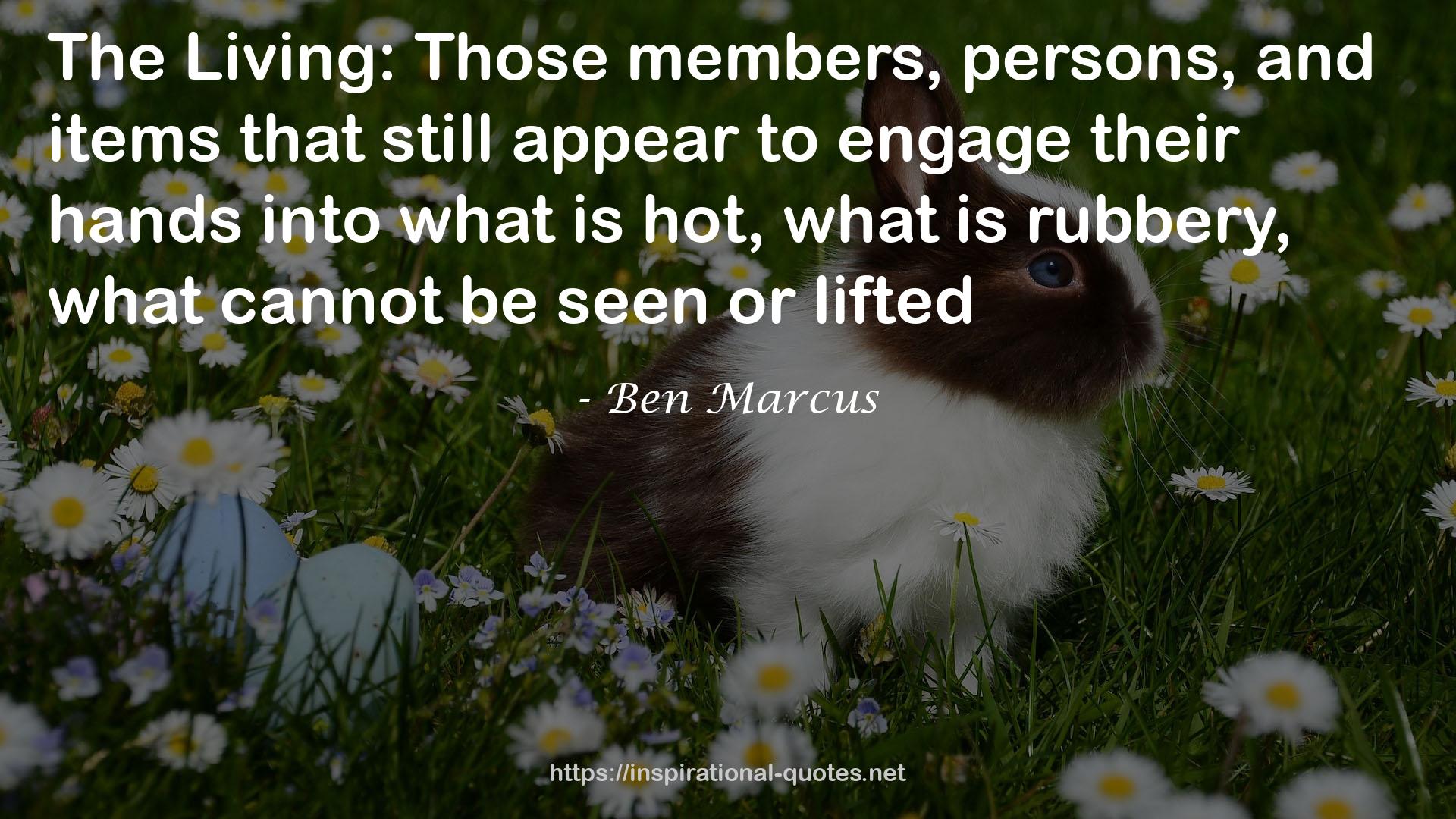 Ben Marcus QUOTES