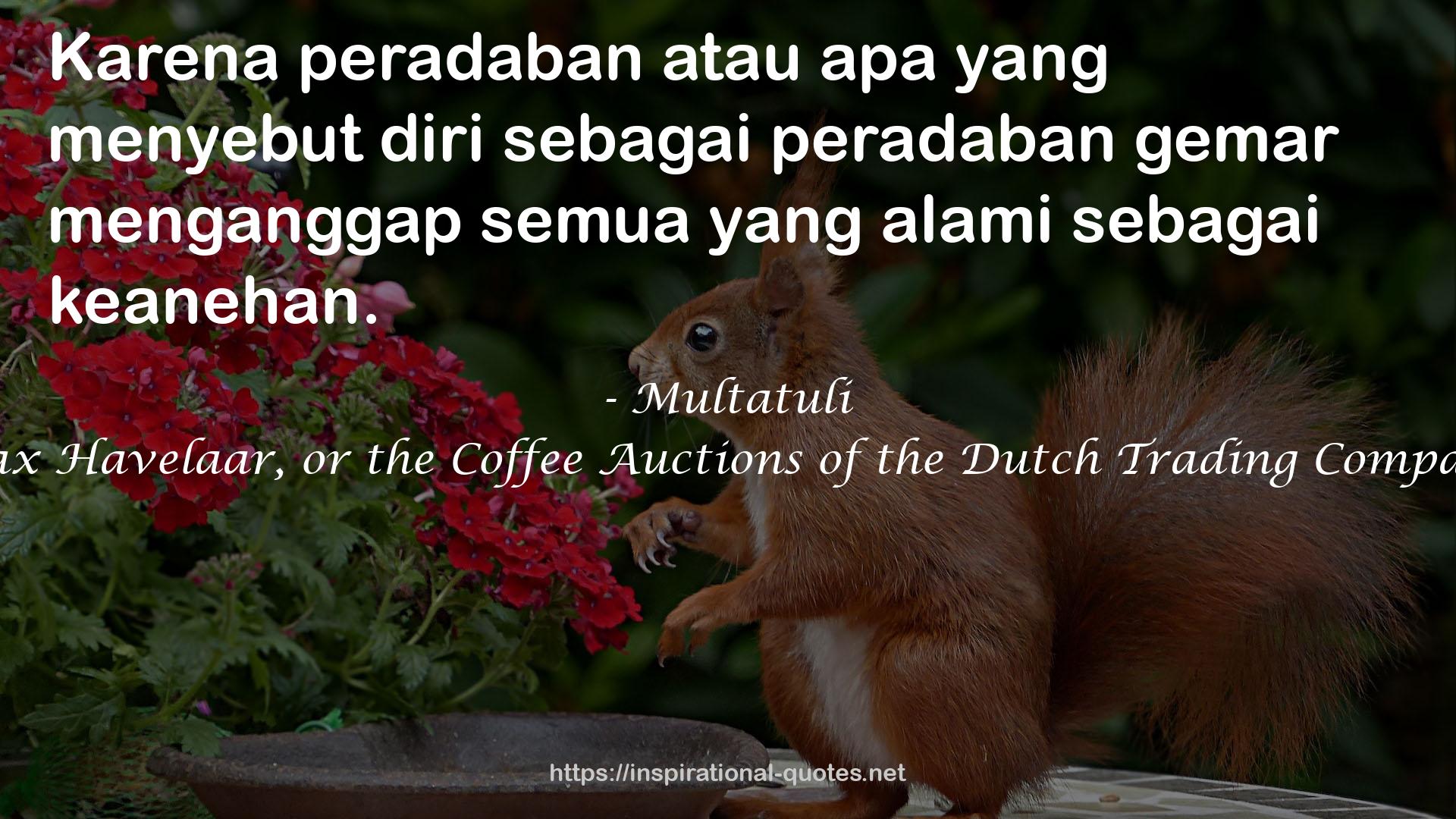 Multatuli QUOTES