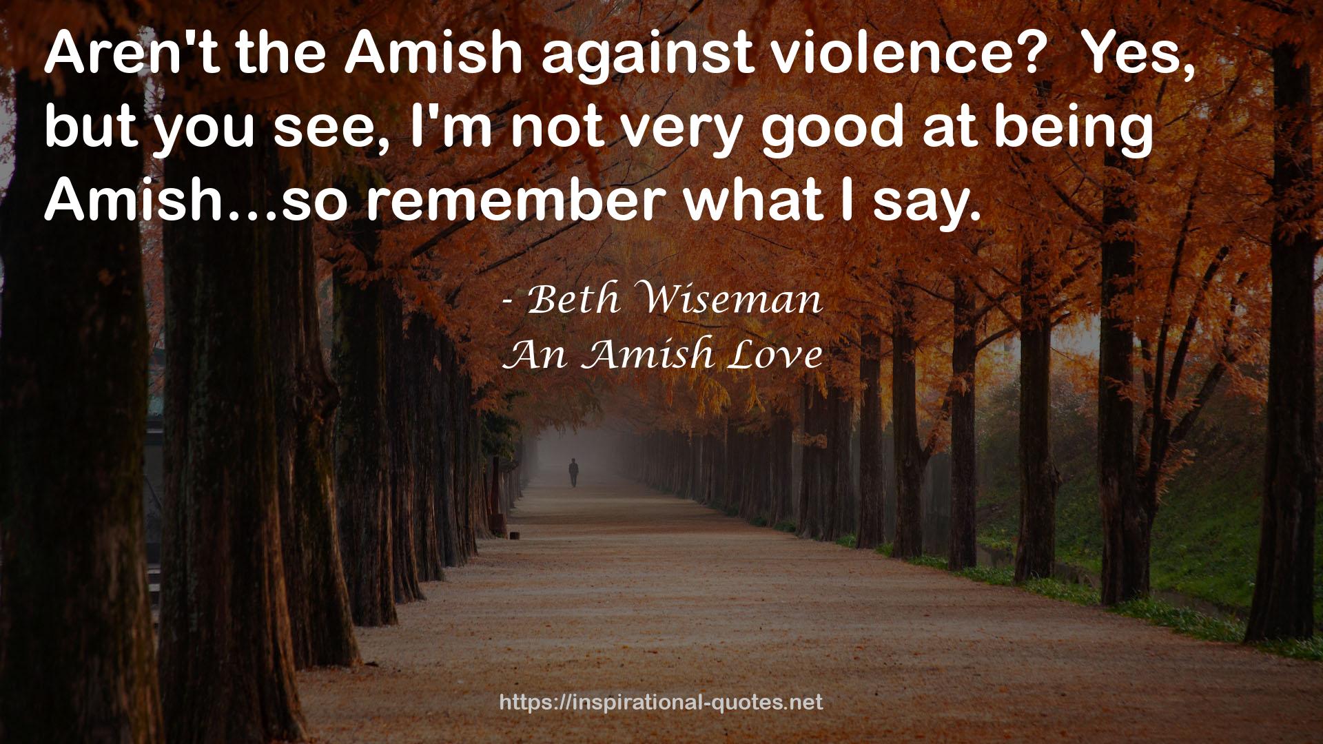 An Amish Love QUOTES