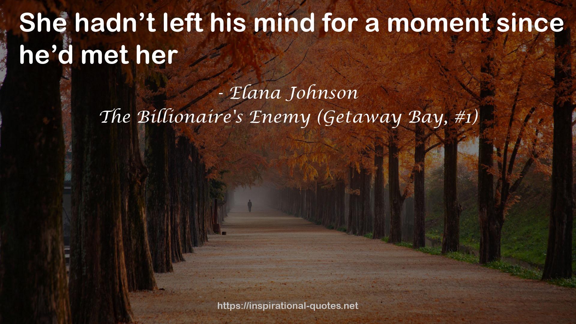 The Billionaire's Enemy (Getaway Bay, #1) QUOTES