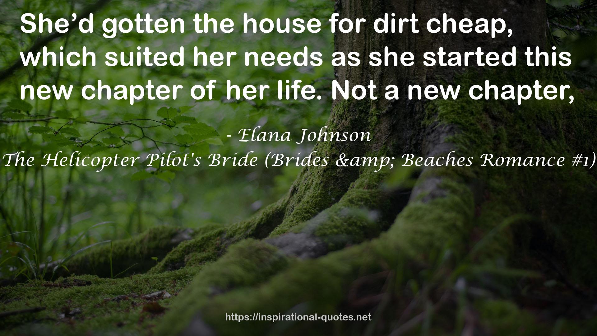 The Helicopter Pilot's Bride (Brides & Beaches Romance #1) QUOTES