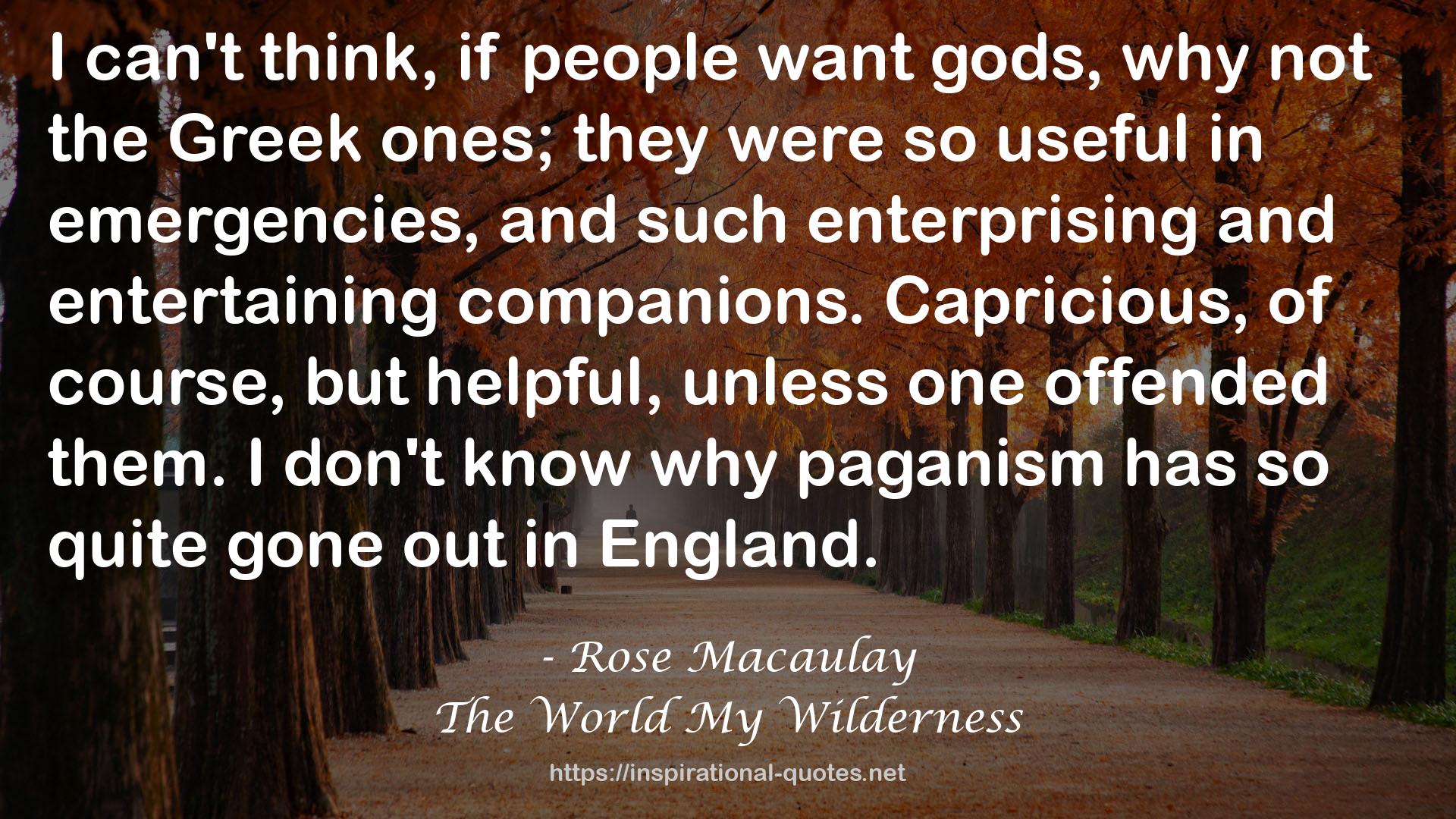 The World My Wilderness QUOTES