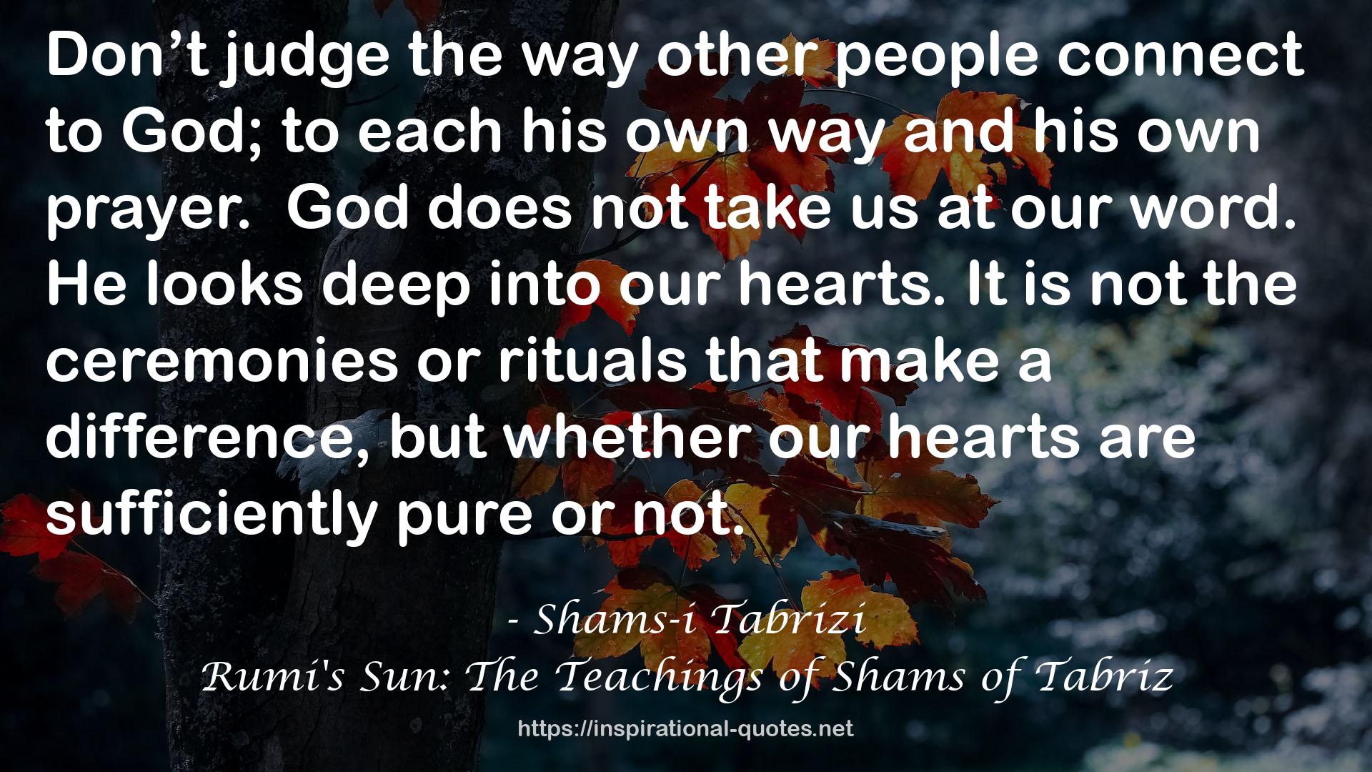 Rumi's Sun: The Teachings of Shams of Tabriz QUOTES